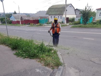 В Курске продолжается покос травы