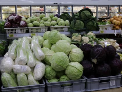 В сентябре в Курской области подешевели овощи и цитрусовые