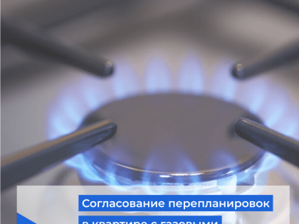 Россиян могут обязать согласовывать с газовыми компаниями перепланировки в квартирах