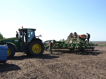 В Курской области собрано более 4 миллионов тонн зерна