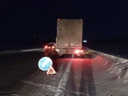 Замерзающего на трассе курского дальнобойщика спасли в Удмуртии