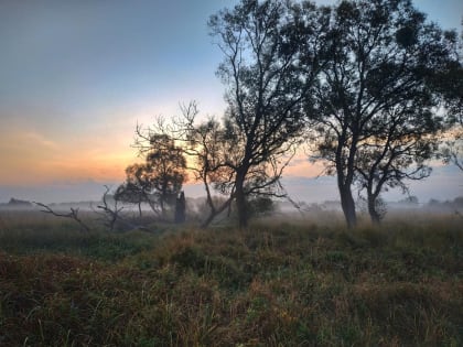 В Курске 3 октября ожидается до 20 градусов тепла