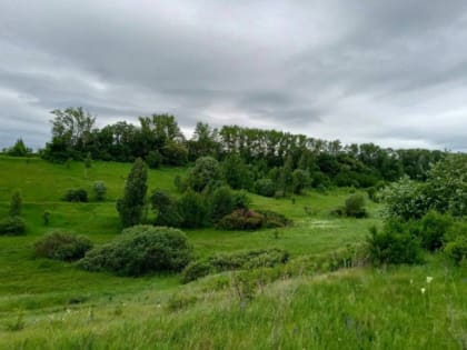 В Золотухинском районе появилась экотропа