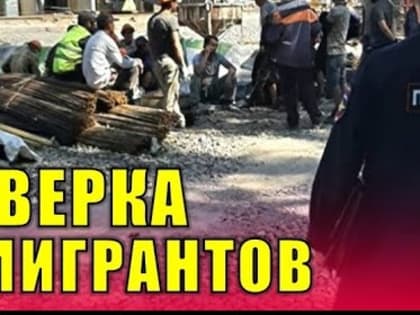 Результаты проведения оперативно-профилактического мероприятия «Мигрант -2023» на территории г. Курчатова и Курчатовского района