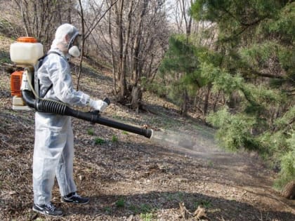 До 1 мая в Курске обработают общественные пространства от клещей.