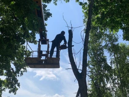 В парке Дзержинского убирают аварийные деревья