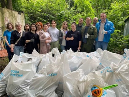 Сегодня в Поповском лесу прошел субботник