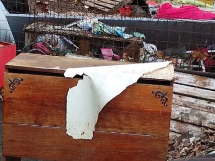 Мусор у домов на улице Карла Маркса, 66/8 и 66д в Курске вывезут до 30 января