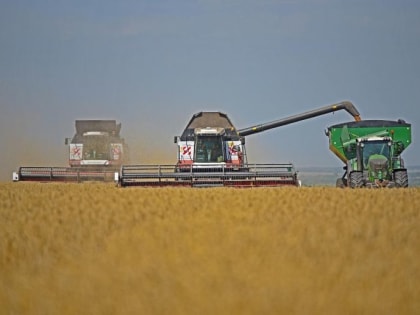 В Курской области собрали 3,8 миллиона тонн зерна