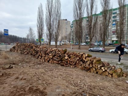 Прошла очередная заготовка дров на нужды военнослужащих