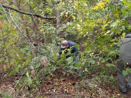 Новые горизонты для подрядчиков в строительстве