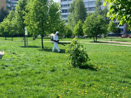 В Курске продолжается акарицидная обработка парков и скверов