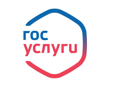 Государственные услуги через Единый портал государственных и муниципальных услуг (ЕГПУ)