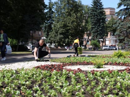 В центре Курска высаживают бегонии