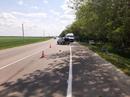 В аварии под Курском пострадали два водителя