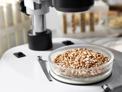 Специалисты Курского филиала проконтролировали экспорт более 327 тыс. тонн зерновой продукции за 5 месяцев года