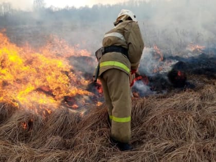 За сутки в Курской области произошло 12 пожаров