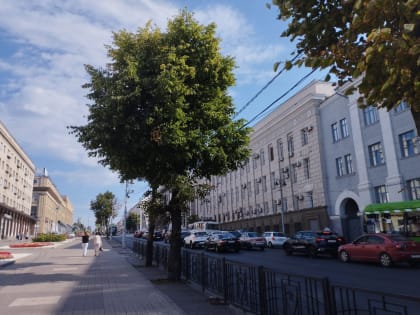 В ночь с 30 июня на 1 июля в Курске ожидается 20 градусов тепла