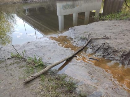 Минприроды Курской области подтвердило информацию о загрязнении реки Тускарь