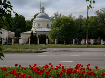 В Курской области 29 апреля будет тепло и ветрено