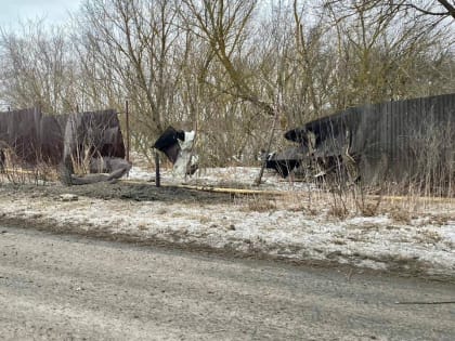 Под обстрел ВСУ попало село Устиновка в Белгородской области