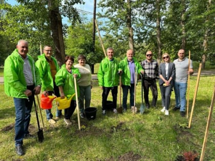 В парке «Боева дача» посадили кустарники