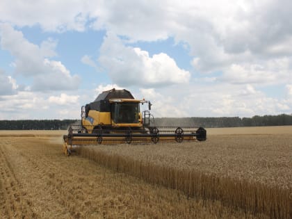 Курские сельхозпроизводители получат поддержку из федерального бюджета