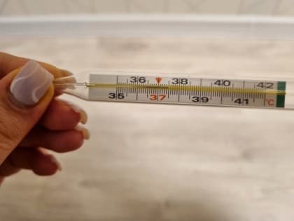 В Курской области четыре школы закрыли на карантин из-за ОРВИ