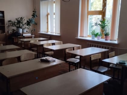 Восемь классов в школах Курска переведены на дистант