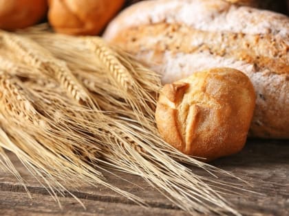 В России создали зимостойкий и урожайный гибридный сорт озимой пшеницы