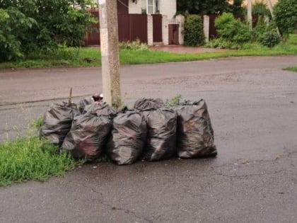 На улице Васильковой прошел субботник