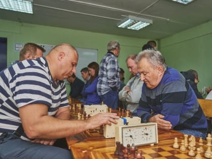 Шахматный турнир: опыт и стратегии участников