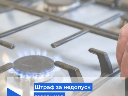 Законопроект о повышении штрафов за недопуск газовиков внесли в Госдуму