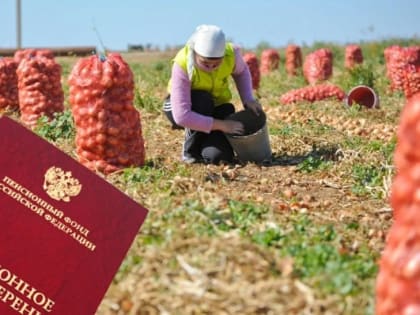 Более 23 тысяч курян получают повышенную пенсию за работу в сельском хозяйстве