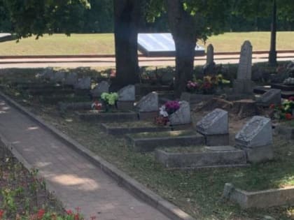 Порубочные остатки на Мемориале павшим в Курске вывезли утром 25 августа
