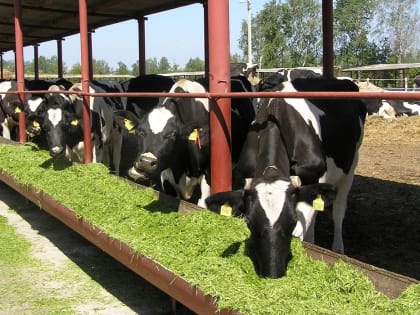 Курских фермеров приглашают к участию в образовательном проекте