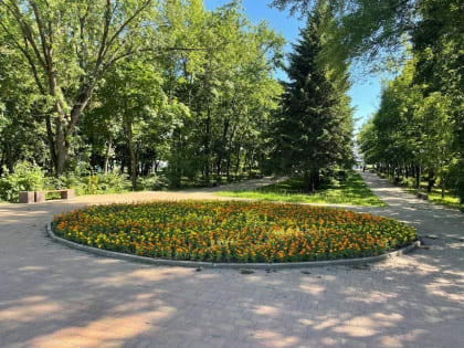 В Курске в жару за клумбами ведется постоянный уход