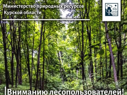 Вниманию лесопользователей!