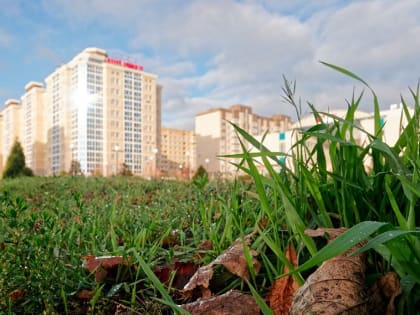 Курская область находится на 67-м месте в стране по развитию ипотеки