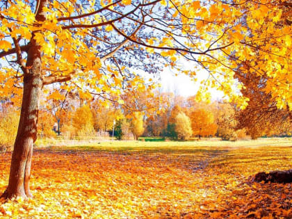 Врач-педиатр рассказала, чем вредны для здоровья фотосессии в осенней листве