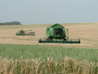 Курским аграриям выделили субсидию в 522 миллиона рублей