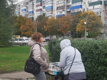 В Сеймском округе Курска составили 6 административных протоколов за нелегальную торговлю