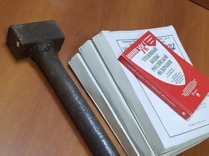 Курянин, ударивший соседа видеокамерой, заплатит 100 тысяч рублей за причинение вреда