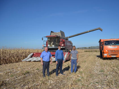 Уборка кукурузы в Реуте: полевые работы продолжаются