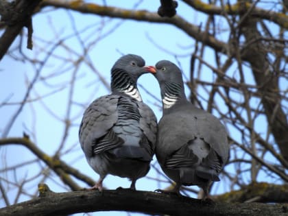 14 июня в Курске днём будет до 25 градусов тепла