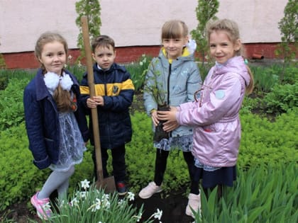 Школа №4: сад Памяти пополнился кустиками роз