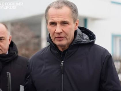 В Курскую область приехал губернатор соседнего региона Вячеслав Гладков
