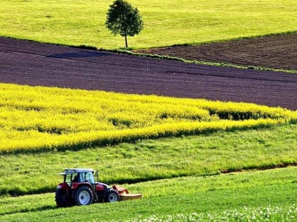 Упрошается процесс аренды государственных сельхозземель