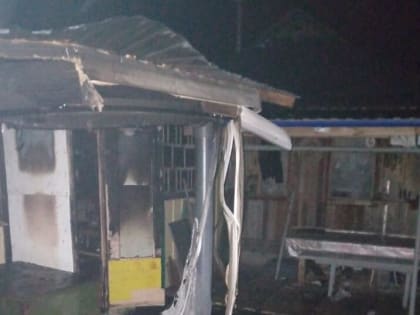 В Курской области за ночь сгорели два сарая