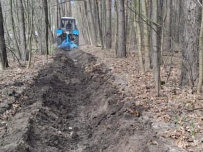 В лесах Курска обновляют минерализованные полосы для защиты от пожаров